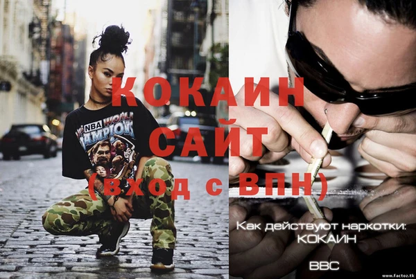 кокс Арсеньев