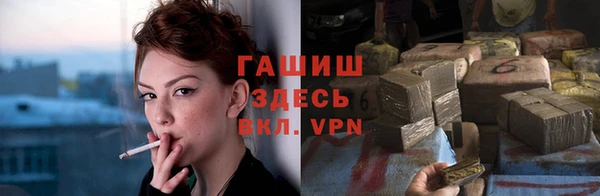 стаф Балахна