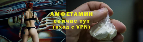 стаф Балахна