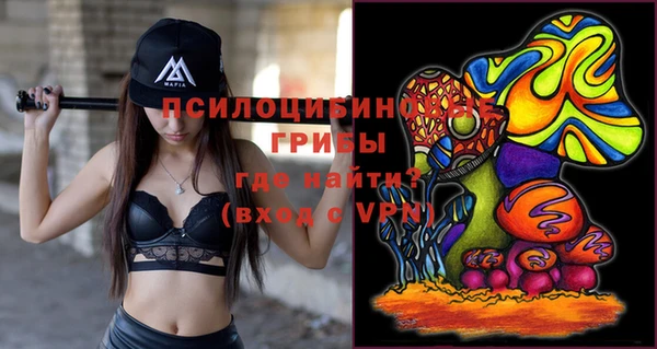 гашик Баксан