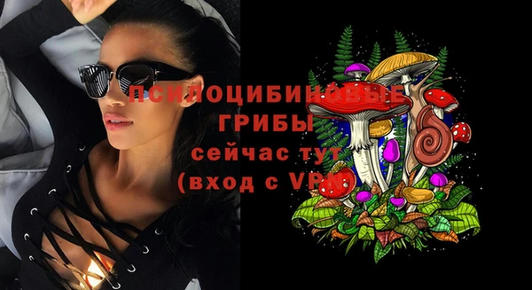 стаф Балахна
