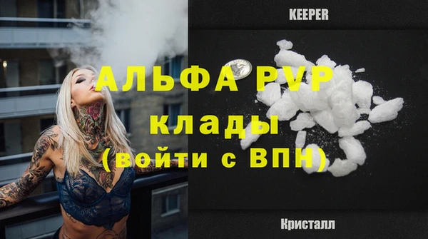 стаф Балахна
