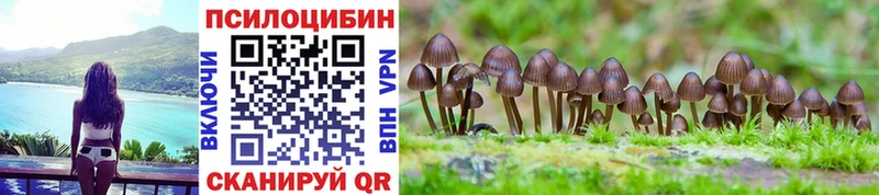 shop формула  Петровск-Забайкальский  Галлюциногенные грибы Magic Shrooms 